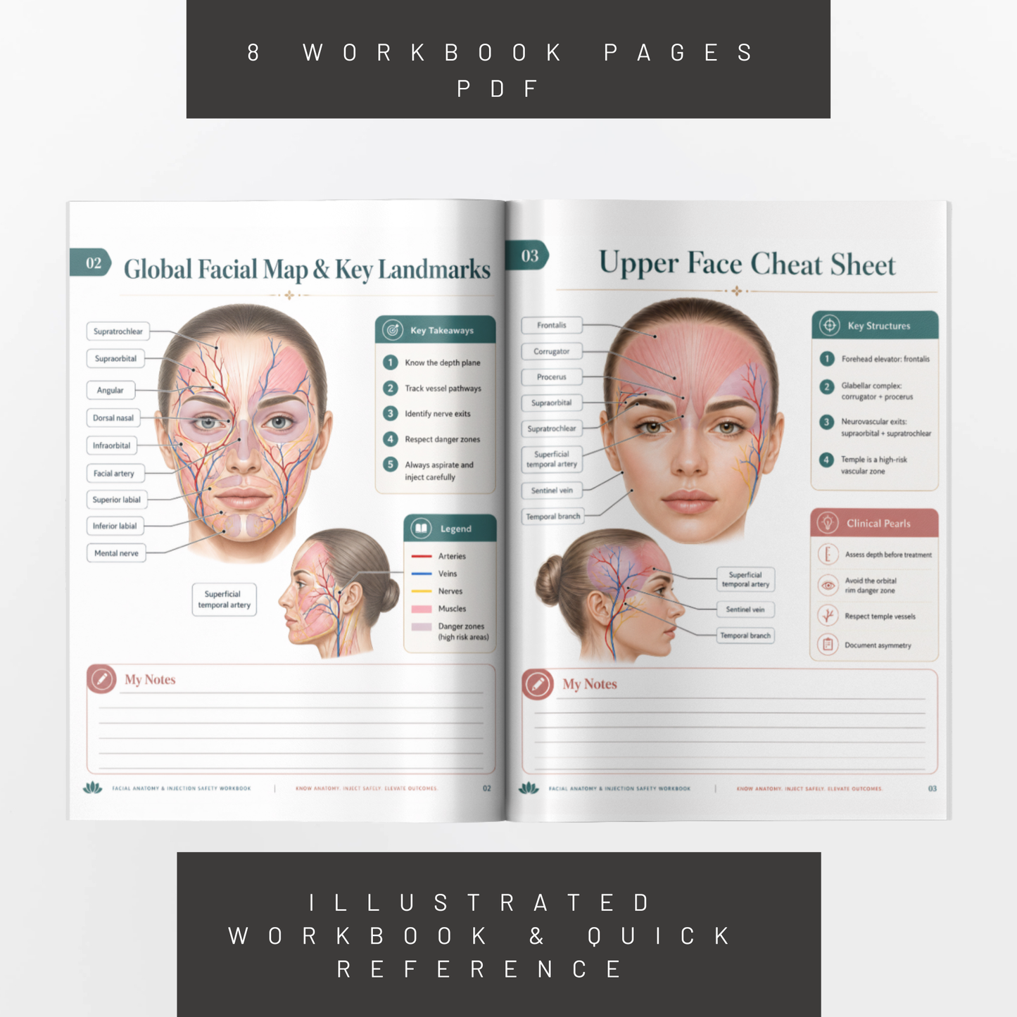 Facial Anatomy Cheat Sheet for Aesthetic Injectors PDF Workbook | Injection Safety Guide, Facial Landmarks & Anatomy Reference